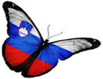 🦋