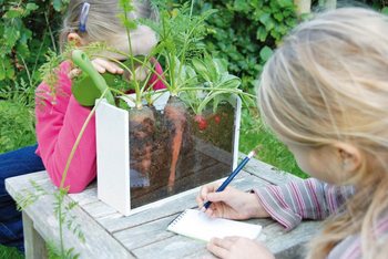 ***BESTSELLER*** KOVČEK OUTDOOR KAKO RASTEJO RASTLINE