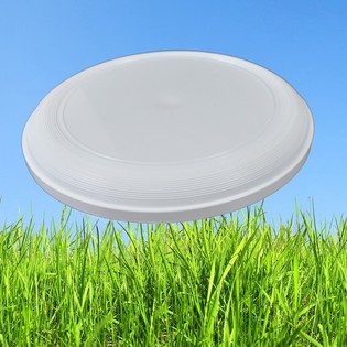 STANDARDNI FRIZBI 21 CM (25 kos)