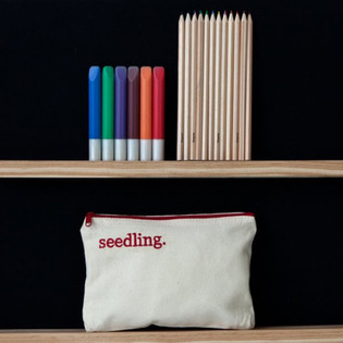 SEEDLING - OBLIKUJ SVOJO PUŠČICO (1 kos)